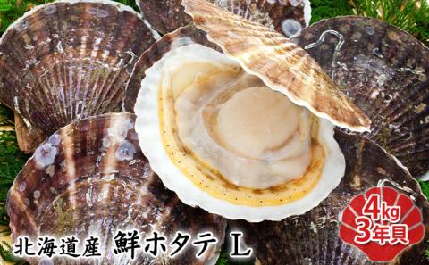 北海道産 鮮ホタテL 4kg 3年貝