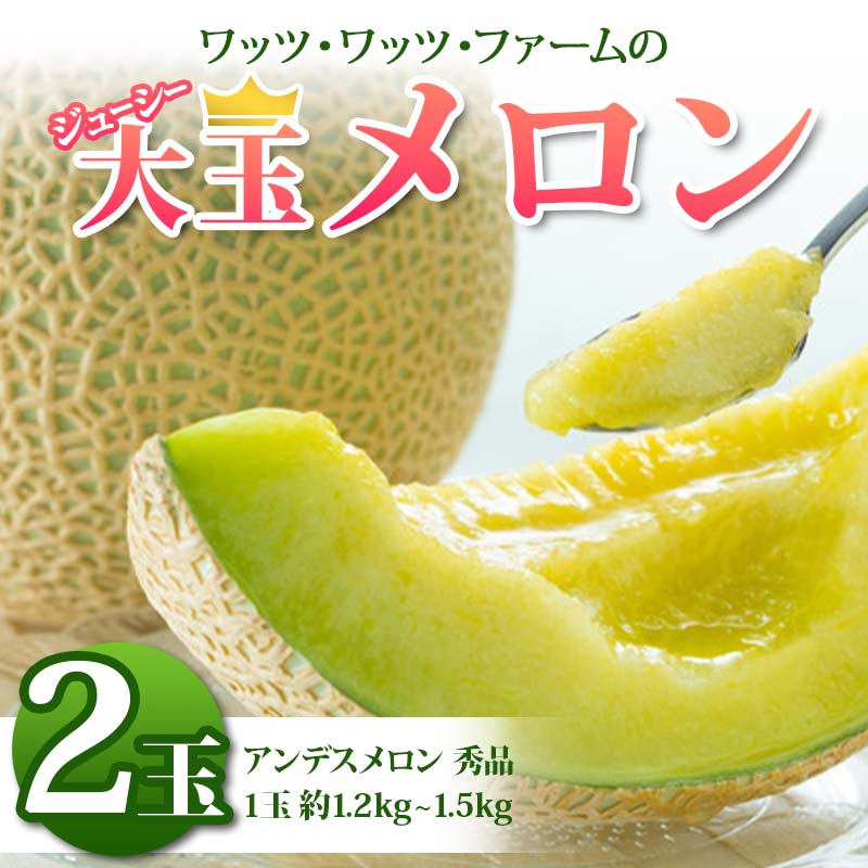 【ふるさと納税】 《2026年 先行予約》 ワッツ・ワッツ・ファームのジューシー大玉メロン 2玉 果物 フルーツ FSY-2376