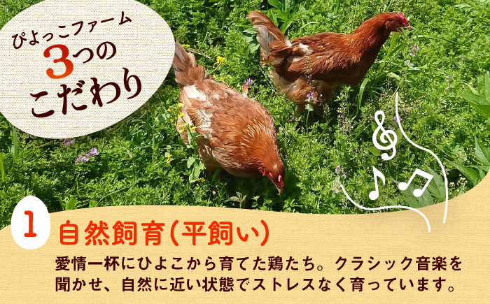 【全3回定期便】平飼い新鮮たまご　元気玉 計20個(10個×2パック) / 卵 ぷりぷり 新鮮 玉子 オムレツ たまごかけごはん 朝食 鶏卵 平飼い 濃厚 こく 熊本県 菊陽町【ぴよっこファーム】 [