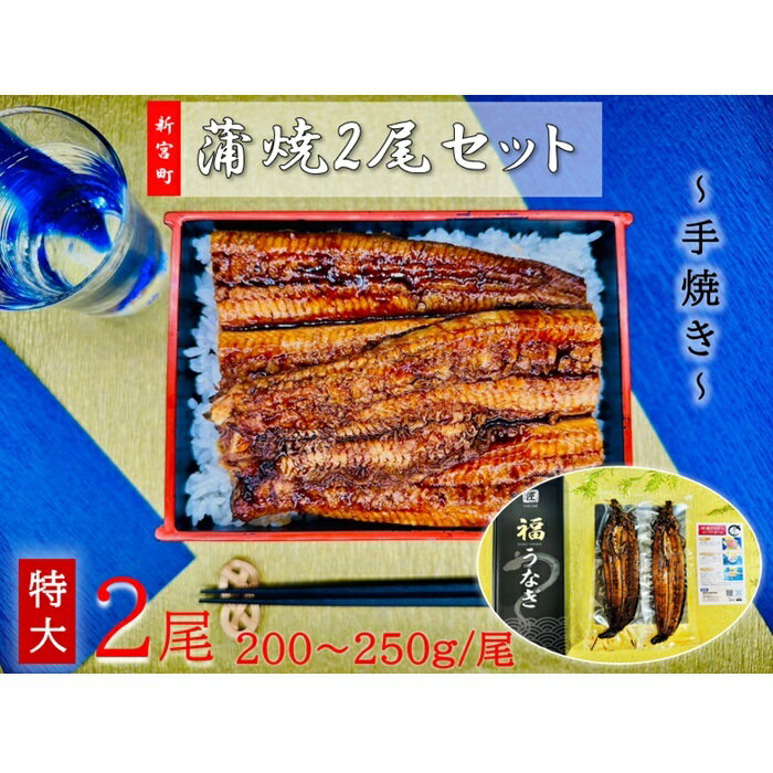 【ふるさと納税】うなぎ蒲焼2尾（計400～500g）．AG094