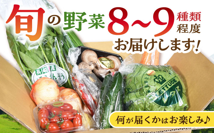 諫早産野菜の詰め合わせ(8～9品目程度) / 季節 旬 野菜 春野菜 夏野菜 秋野菜  / 諫早市 / 肥前グローカル株式会社 [AHDI004]