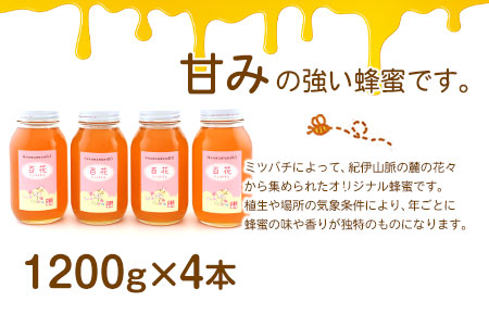 ほんまもん百花蜂蜜 1200g×4本 計4800g 村上養蜂《90日以内に出荷予定(土日祝除く)》和歌山県 紀の川市