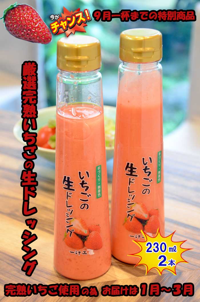 【ふるさと納税】『チャンス9月一杯までの特別商品』いちごの生ドレッシング(230ml) 2本セット シーズン限定商品
