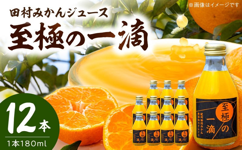 
                  DE6108n_田村みかんジュース 至極の一滴 180ml×12本【和歌山 ミカンジュース ストレート 果汁100% 有田みかん 田村みかん 無添加】
                