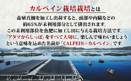 新米 コシヒカリ 魚乃まいひめ カルペイン栽培 計 1升 2合 × 5袋 精米 秀長水産 お米 米 環境保全 カルペイン 鯛 真鯛 魚肥 使用 こめ コメ kome 小分け お弁当 弁当 おにぎり ふ