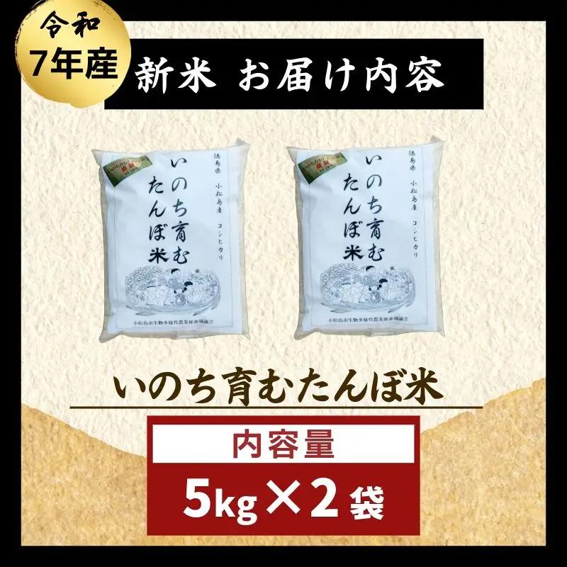 【栽培期間中農薬不使用】玄米 10kg コシヒカリ 令和7年産 米 こめ ご飯 ごはん おにぎり 白米  食品  ギフト 贈答 プレゼント お取り寄せ グルメ 送料無料 小松島市