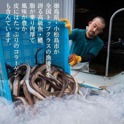 ふるさと納税 小松島市 【定期便 全3回】 鱧しゃぶセット 毎月お届け! |  | 02