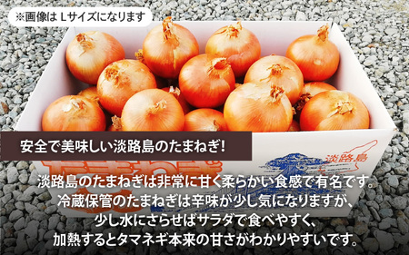 淡路島産たまねぎ 10kg入り箱【2月下旬までの期間限定商品】 / 玉ねぎ 玉葱 タマネギ
