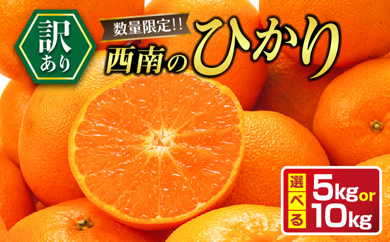 
            ≪内容量が選べる≫ 先行予約 訳あり 西南のひかり 5kg 10kg ご家庭用  みかん オレンジ フルーツ 果物 くだもの 柑橘 果実 果肉 デザート おやつ 国産 食品 おすそ分け おすそわけ 自宅用 人気 おすすめ 宮崎県 日南市 送料無料_S-BA82-24
          