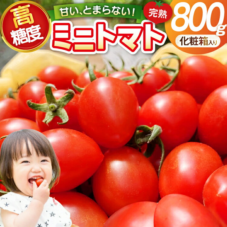 【ふるさと納税】 トマト 〜高糖度 しあわせのトマト〜 ミニトマト 800g 化粧箱入り 贈答用 [会宝産業株式会社 石川県 宝達志水町 38601354] 野菜 とまと やさい tomato あいこ フルーツトマト みにとまと 甘い 高糖度 完熟 リコピン 産地直送