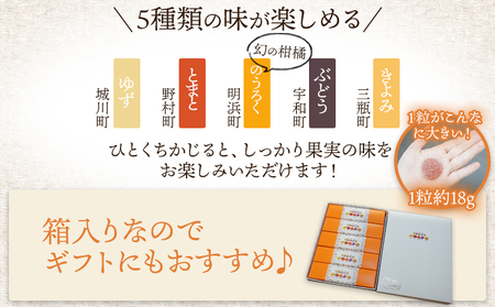 ＜果汁たっぷり！西予の美味しいが詰まったせいよぐみ 10粒（5種類各2粒×1箱）＞ お菓子 デザート スイーツ グミ 洋菓子 おやつ 特産品 ゆず トマト のうろく ブドウ きよみ スイーツ工房絹 愛