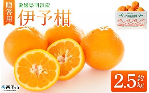 ＜伊予柑 贈答用 約2.5kg＞ ギフト いよかん イヨカン みかん 蜜柑 柑橘 果物 くだもの フルーツ ミカン 愛媛 国産 2.5キロ 果汁 ジューシー 明浜 特産品 笑丸 愛媛県 西予市【常温】『2026年1月下旬より順次出荷予定』