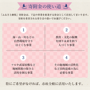 i902 ≪返礼品なし・1,000円≫鹿児島県出水市への寄附 返礼品なし 寄附のみ【出水市役所】