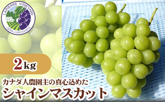 
No.204 【カナダ人農園主の真心を込めた】シャインマスカット約2kg ／ 果物 フルーツ 葡萄 ブドウ ぶどう 広島県
