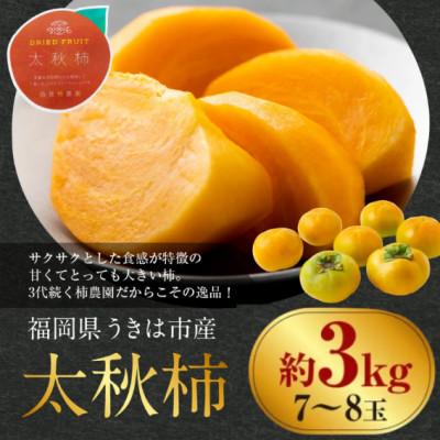 ふるさと納税 うきは市 【先行予約】西見柿農園 太秋柿 7玉から8玉(約3kg)【2026年10月下旬〜11月上旬発送予定】 |  | 01