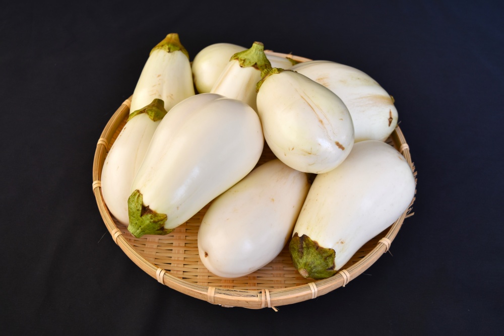 【訳あり】とろ～り旨なす(白茄子) 約2kg 8～9個【2026年7月初旬～9月末頃順次発送】／ B-フレスコ葛城 葛城産 大和野菜  しろなす  なすび  なす農家直送 産直 新鮮 旬 名産 奈良県