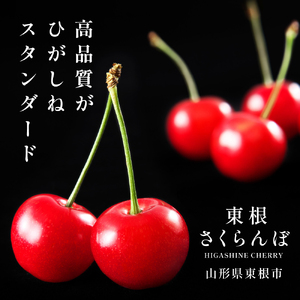 2025年【5月お届け】GI東根さくらんぼ 佐藤錦 特秀品 Lｻｲｽﾞ24粒化粧箱入り 東根農産センター提供 山形県 東根市 hi027-159-1 (山形県 東根市 果物 フルーツ サクランボ さく