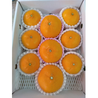 
            せとか＜家庭用＞約3kg＜D76-16＞【1593330】
          