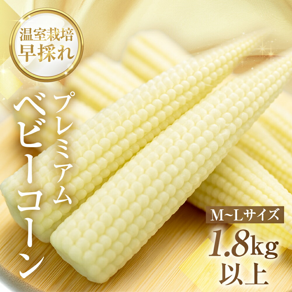 【ふるさと納税】＜先行予約＞温室栽培 早採れ プレミアム ベビーコーン 1.8kg以上 20本~25本 M～Lサイズ コーン ヤングコーン とうもろこし トウモロコシ 旬 予約 Seaside Agriculture