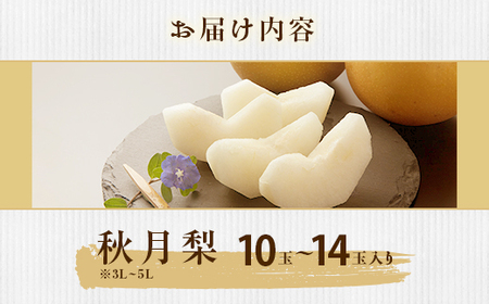 352 秋月梨 約5kg 10～14玉 3L～5L 梨 なし あきづき 【先行予約 2025年 9月中旬ころより順次発送予定】