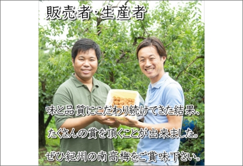 紀州南高梅 しそ梅(塩分15%) 10kg【0462-3】