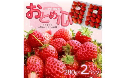 SA2519　いちご 「おとめ心」 約280g×2パック