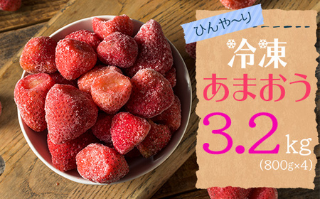 【冷凍】 博多 あまおう 3.2kg（800g×4袋） 2J5-S