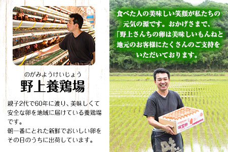 たまご屋さんのやわらか親鶏カレー  10人前 300g×5袋 野上養鶏場  《60日以内に出荷予定(土日祝除く)》 福岡県 鞍手郡 鞍手町 味宝卵 カレー