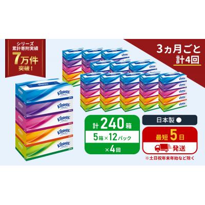 ふるさと納税 岩沼市 定期便 ティッシュ クリネックス ティシュー(5箱入×12P)《計4回》[No.5704-1047] |  | 01