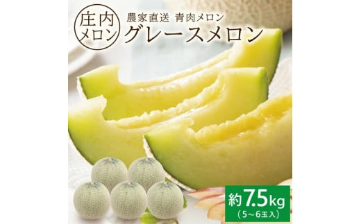 庄内メロン/青肉　グレース　約7.5kg(5～6玉入) SA2872