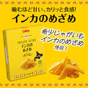 カルビー いも太とまめ次郎 じゃがピリカ インカのめざめ 各1箱