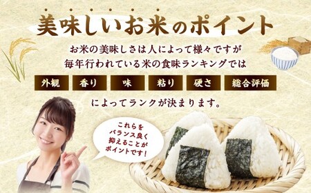 【令和7年産】夢つくし 香春町産 わぎえ米 20kg（5kg×4袋） 夢つくし 白米 米 お米 国産 福岡県産