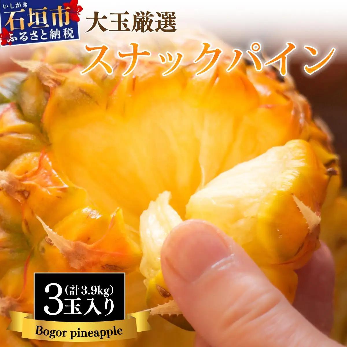 パイナップル 石垣島産 スナックパイン ずっしりの「大玉」3個入り SI-26-1