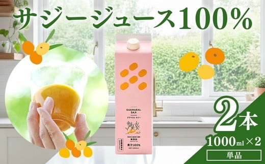 
サジージュース 100% 1000ml×2本セット | サジー シーベリー 沙棘 グアマラル 健康ドリンク 健康 美容 栄養 果汁 鉄分補給 栄養補給 健康食品 ギフト 贈答 プレゼント ご褒美 お祝 記念品 _DX04
