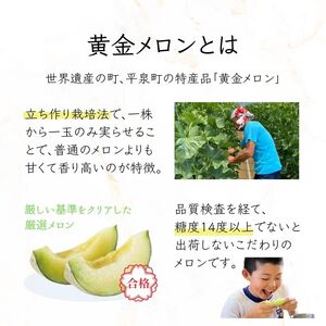 【令和8年度分予約受付】平泉黄金メロン 1玉 Lサイズ 約1.5kg 【2026年8月下旬以降より発送】/【omk001-A】