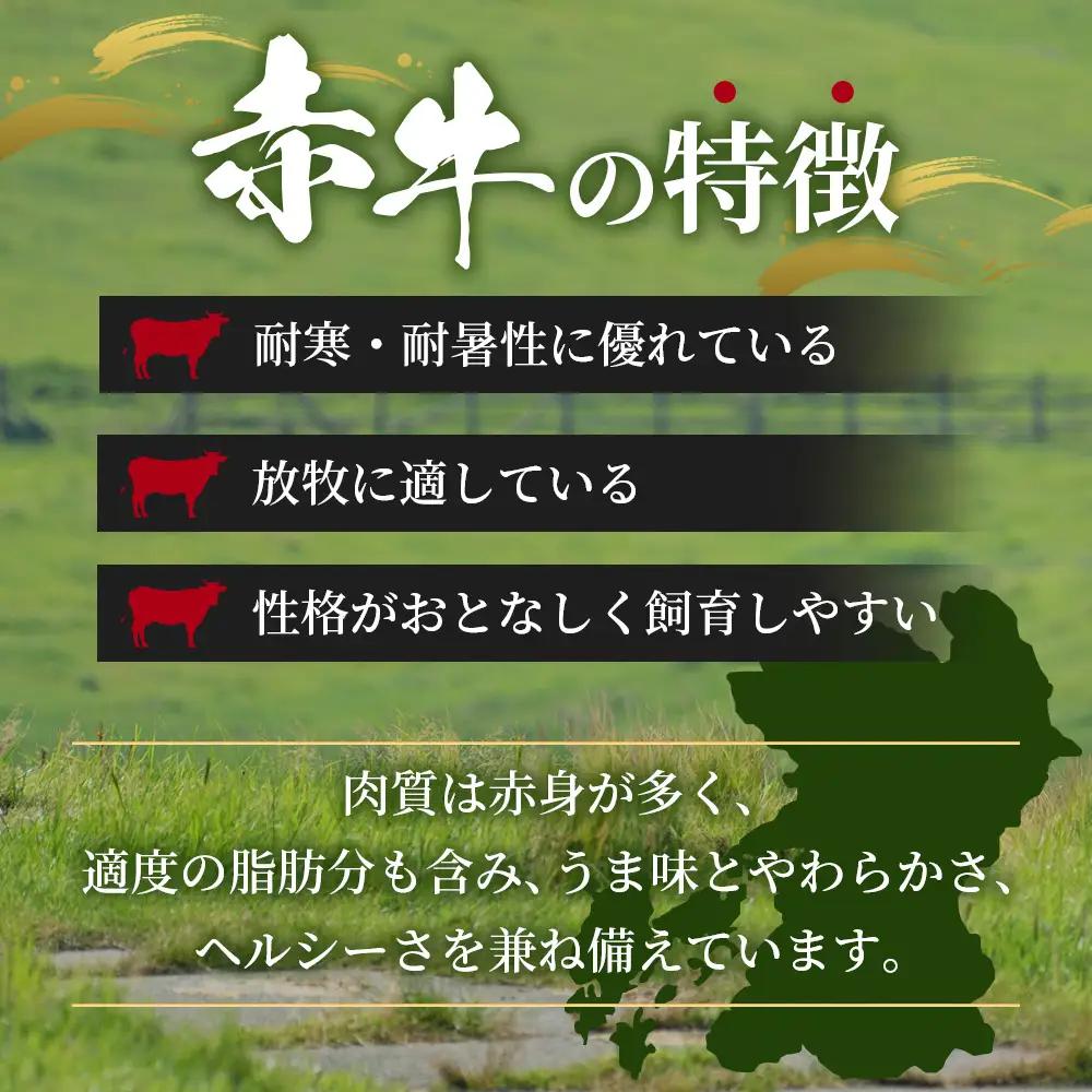 【定期便6回】熊本 赤牛 ハンバーグ 150ｇ×10個 ×6回配送 121-0603