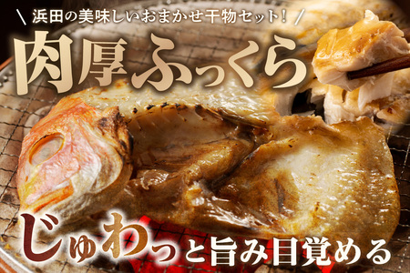 訳あり 干物 おまかせセット 干物 詰め合わせ 【033_1776】