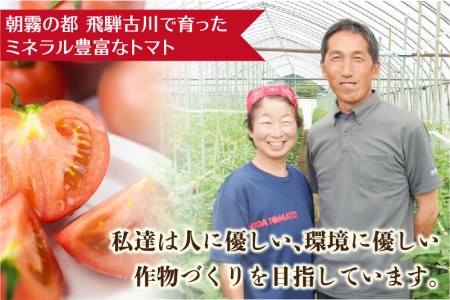 《先行予約》飛騨トマト 約2kg（8－10玉）産地直送 野菜 とまと トマト 麗月 夏野菜 やさい サトーカルチャー [Q2478]