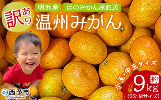 ＜訳あり 温州みかん 約9kg＞ 小玉 中玉 明浜産 果物 フルーツ 蜜柑 うんしゅうみかん ウンシュウミカン 柑橘 家庭用 浜のみかん屋 直送 愛媛県 西予市【常温】『2025年11月上旬～2026年1月中旬迄に順次出荷』