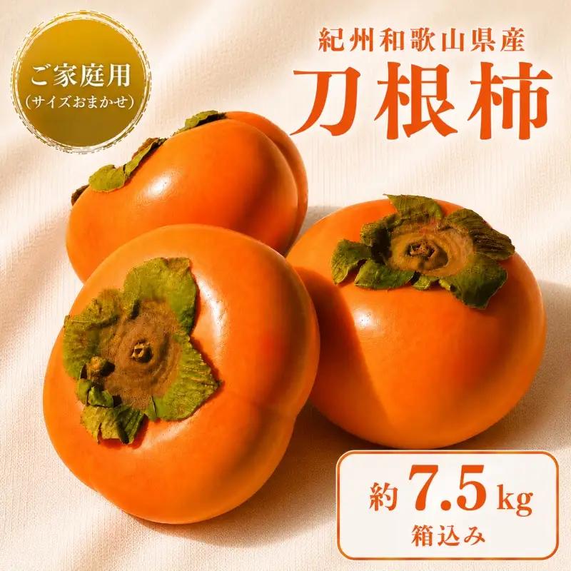 刀根柿 約 7.5kg※箱込み 家庭用 / カキ  甘い 種なし 美味しい 秋の味覚 和歌山県 紀美野町 ※2026年9月下旬～10月上旬に順次発送【frt504-c-tone-7d5】