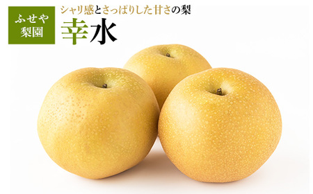 幸水 5kg 【ふせや梨園】| 農家直送 梨 ナシ 果物 フルーツ 宇都宮市 栃木県 ※2026年8月～発送