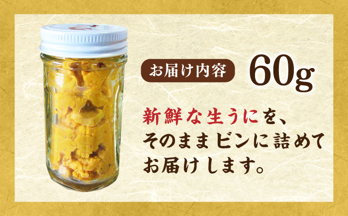 壱岐産 生うに 60g×1本《壱岐市》【馬渡水産】 生ウニ うに ウニ 雲丹 紫うに ムラサキウニ 海鮮 希少 冷蔵配送 [JAQ005]