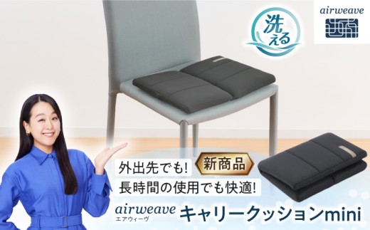 エアウィーヴ キャリークッションmini 滋賀県長浜市/株式会社エアウィーヴ [AQBV177] エアウィーヴ エアウィーブ エアリーヴ クッション 洗える airweave 人気 おすすめ