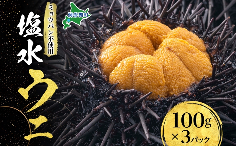 ミョウバン不使用 塩水 ウニ100g 3パック 7月下旬頃までお届け  [水揚げ後 順次出荷]  キタムラサキウニ うに ウニ 雲丹 ムラサキウニ 北海道産 魚貝 魚介 海鮮 海産 小川商店 送料無料 北海道 洞爺湖