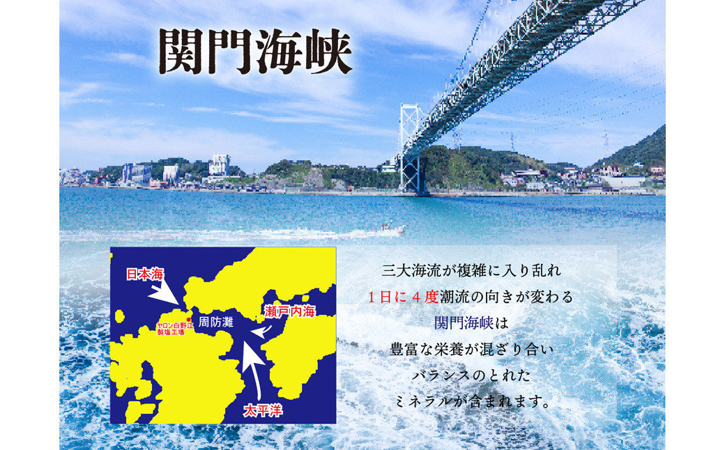 深海の恵み 関門の塩 合計500g (100g×5袋) ミネラル 塩 調味料 塩分濃度86.1％ カルシウム マグネシウム カリウム しお 少量 小分け