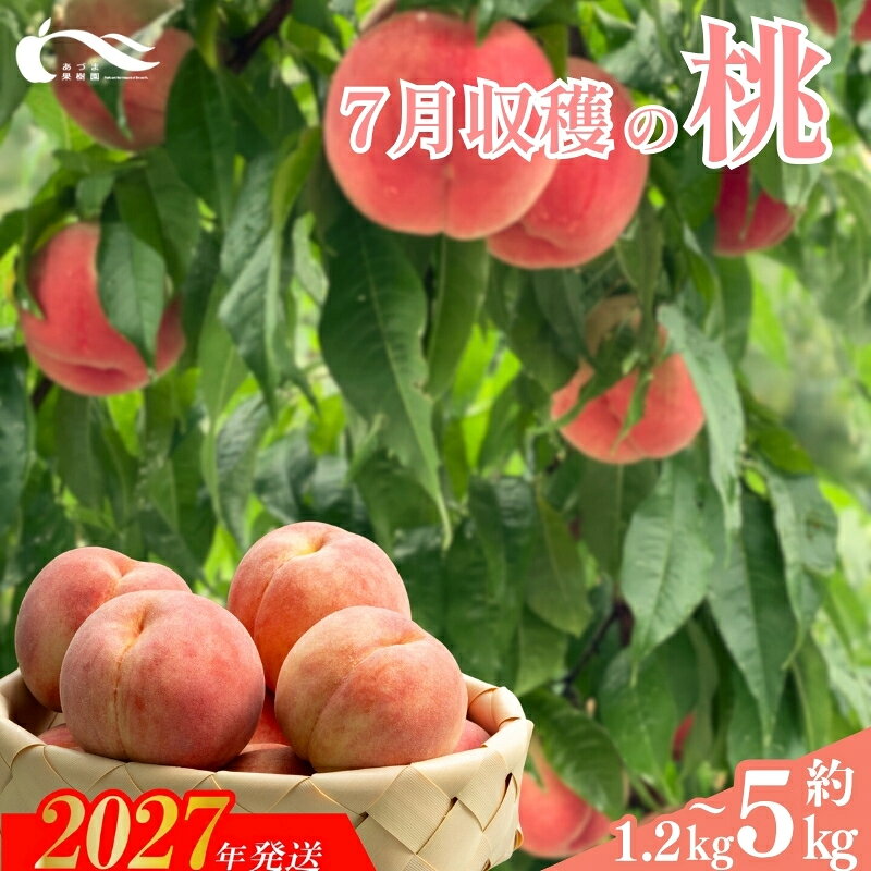 【ふるさと納税】あづま果樹園 もも 7月収穫の桃 選べる 容量 品種おまかせ 約1.2kg 約2kg 約3kg 約5kg AA 【2027年発送】早生 はつひめ 恋みらい 日川白鳳 あかつき 夏の陽