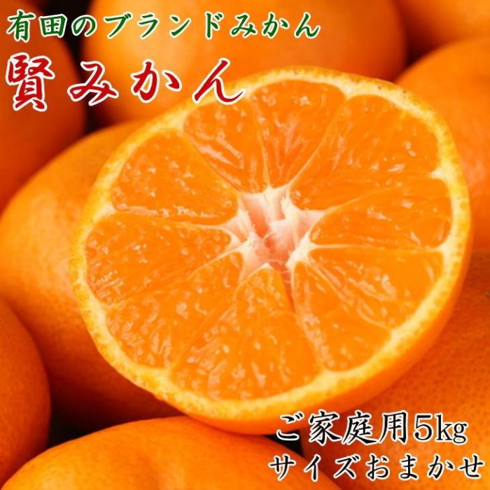 【ふるさと納税】有田のブランド「賢みかん」5kg(S～Lサイズおまかせ）ご家庭用【2025年11月中旬頃より順次発送】 | 先行予約 和歌山 果物 くだもの フルーツ 柑橘 蜜柑 ブランド 取り寄せ ご当地 期間限定