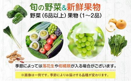 【直売所みなみの里厳選】旬の野菜・果物セット