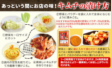 キムチ革命 キムチパウダー お試しパック 1袋入り60g 樽の味《30日以内に出荷予定(土日祝除く)》 和歌山県 日高川町 キムチ 素 キムチの素 お試し 漬物 唐辛子 簡単 手作り 無添加｜今話題の