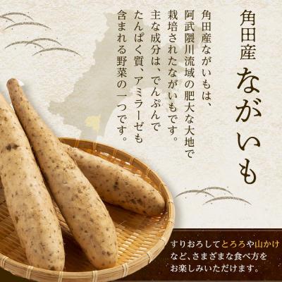 ふるさと納税 角田市 【先行予約】宮城県角田市産ながいも約4kg(3〜5本)【2025年11月下旬〜順次発送】 |  | 01